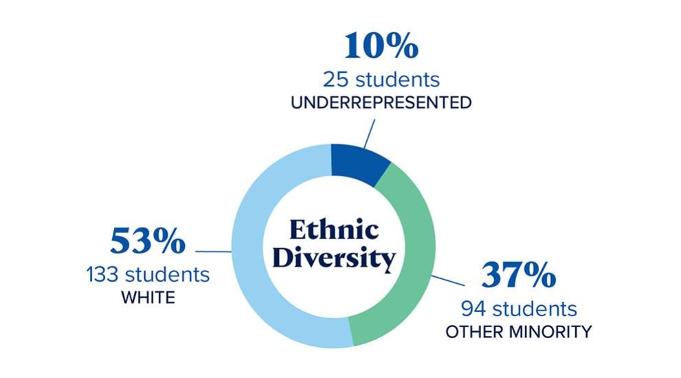 Class diversity stats: 53% white, 10% underrepresented and 37% other minority