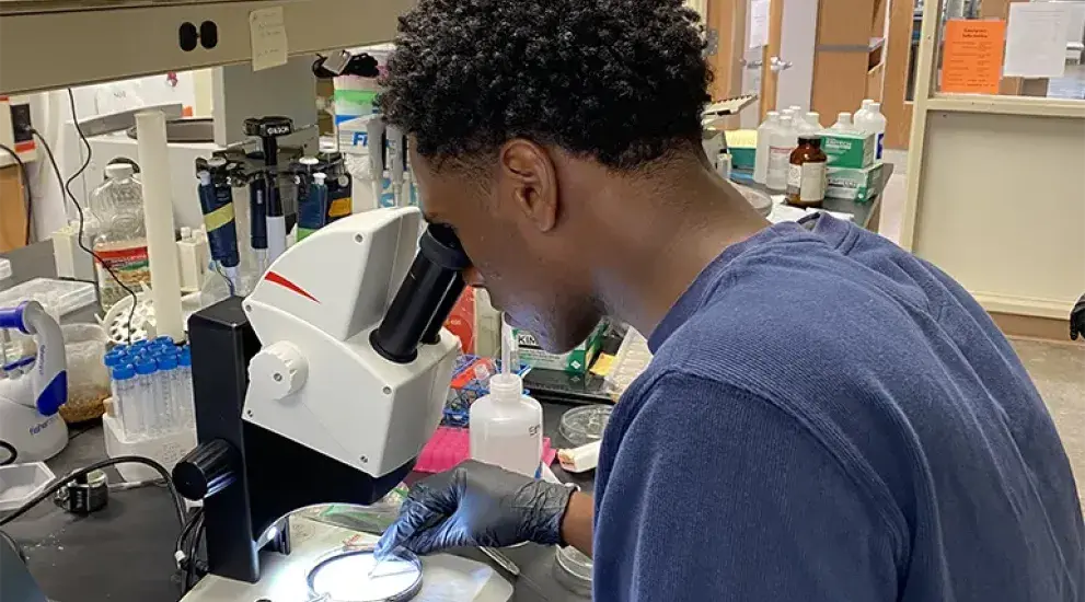 Student using microscope