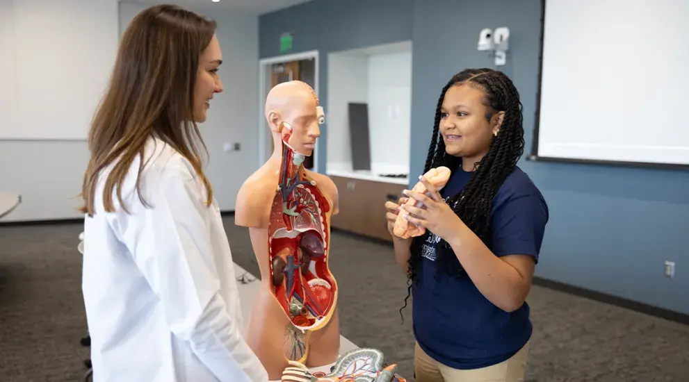 Two individuals in a classroom setting, one wearing a white lab coat and the other in a blue shirt and khaki pants, are examining anatomical models. The person in the lab coat stands next to a detailed torso model displaying internal organs, while the other holds a model of a human hand. Various other anatomical models, including a heart and foot, are placed on the table in front of them. A projector screen and educational materials are visible in the background.