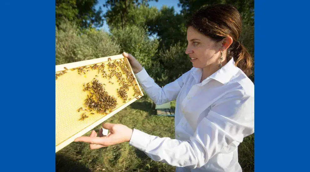 Carol Fassbinder-Orth at her home in Iowa checking her honeybee hives